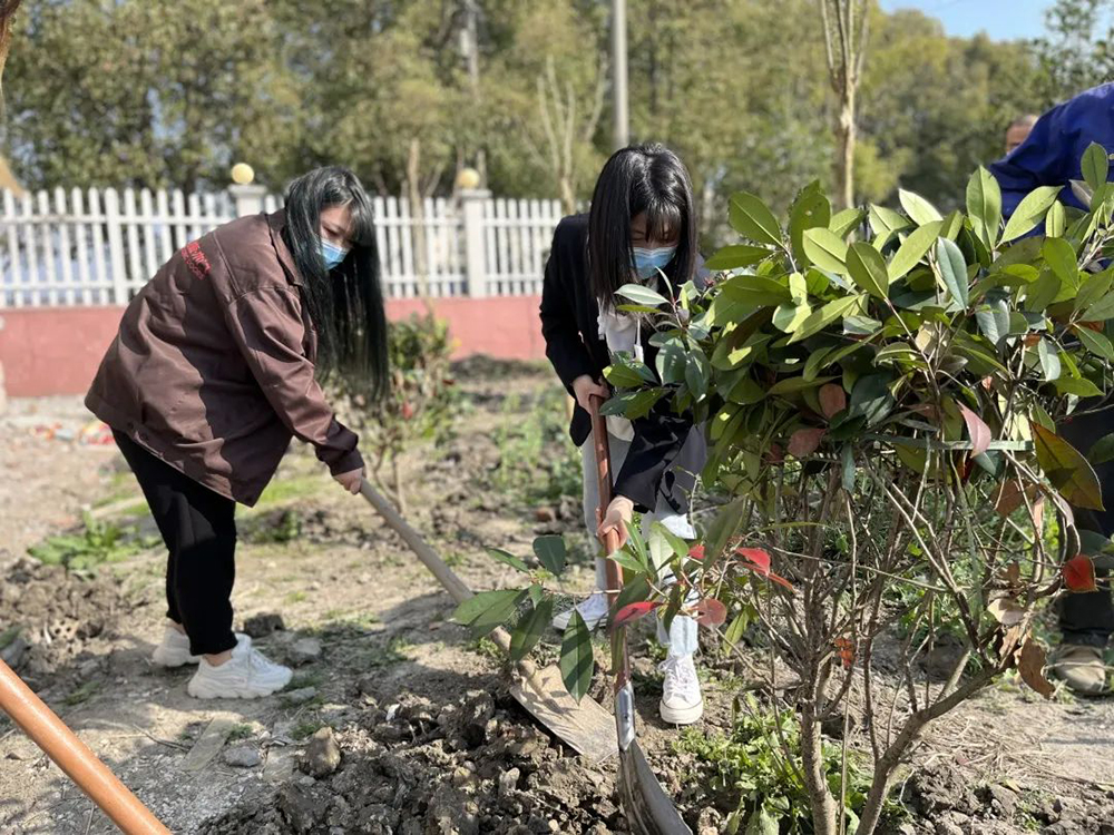 一草一木皆生命，一枝一叶总关情——好美家地板第二季植树节