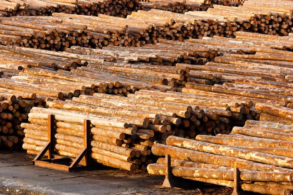多地复工复产，木材市场出现向好趋势！